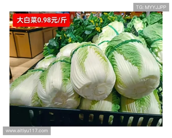 2025年白菜的市场价格是多少？一斤多少钱？
